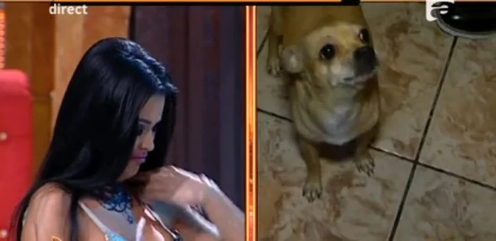 Daniela a început să plângă când și-a văzut cățelușul la televizor