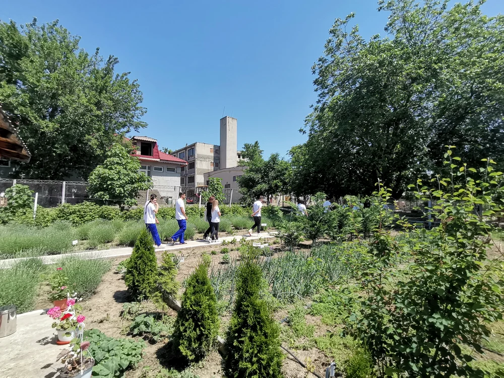 elevi_pe_alee_gradina_liceu_agricol_braila_foto_alina_mitran