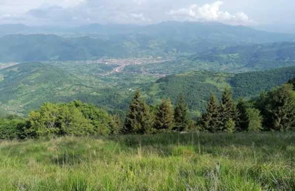 Parva FOTO Ioan Strugari