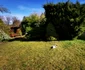 Parcul Dendrologic din Simeria Foto Daniel Guță ADEVĂRUL (53) jpg