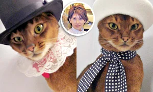 CLIIMA20120315 0114 1 jpeg