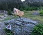 Valea Sambetei din Fagaras  Foto Daniel Guță  ADEVĂRUL (9) jpg