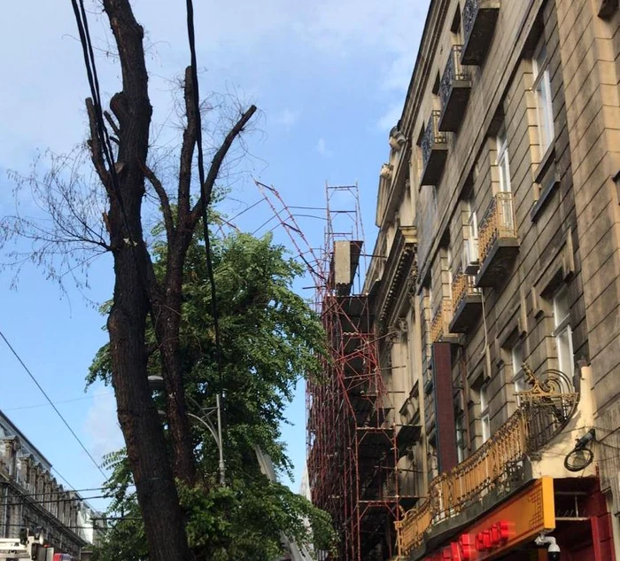 
    Foto ISU București Ilfov  