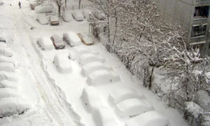 ninsori abundente jpg