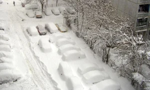 ninsori abundente jpg