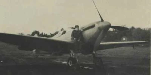 avion spotfire