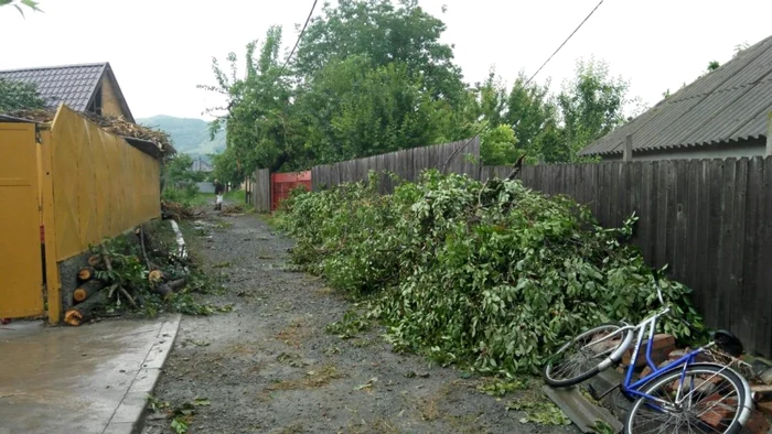 tornada tulcea