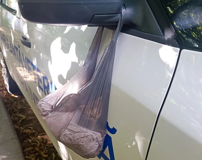 Pisică abandonată într-o pungă de plastică și legată de o ambulanță FOTO: IPJ Galați