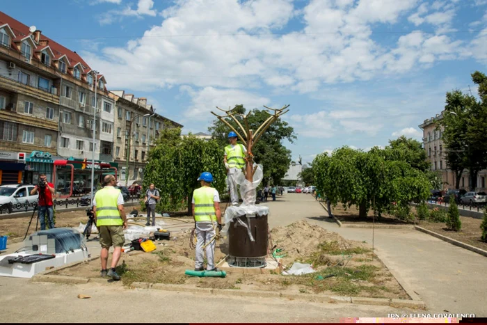 arbori fotovoltaici