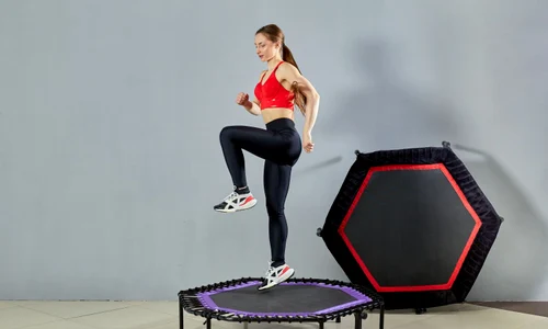 shutterstock 2298151785 jpg