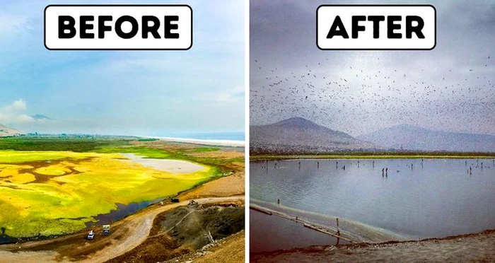 Soluţia pentru curăţarea lacurilor a fost găsită de un bărbat din Peru. Asta da idee de afaceri!