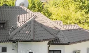 vila bucuresti miss jpg