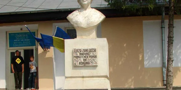 luiza zavloschi