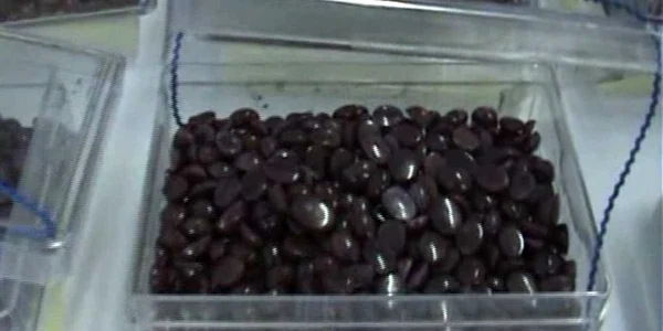 Cei doi încercau să vândă peste 6.400 de rubine într-o parcare din centrul Zalăului