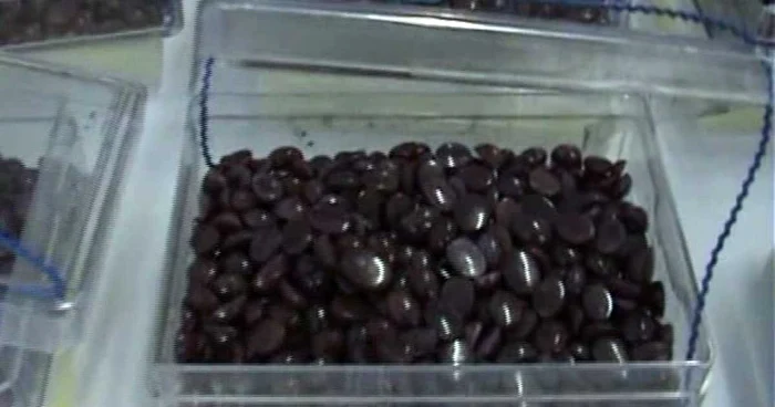 Cei doi încercau să vândă peste 6.400 de rubine într-o parcare din centrul Zalăului