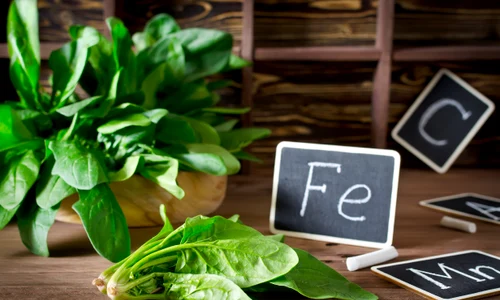 Fier_shutterstock 368298041 jpg