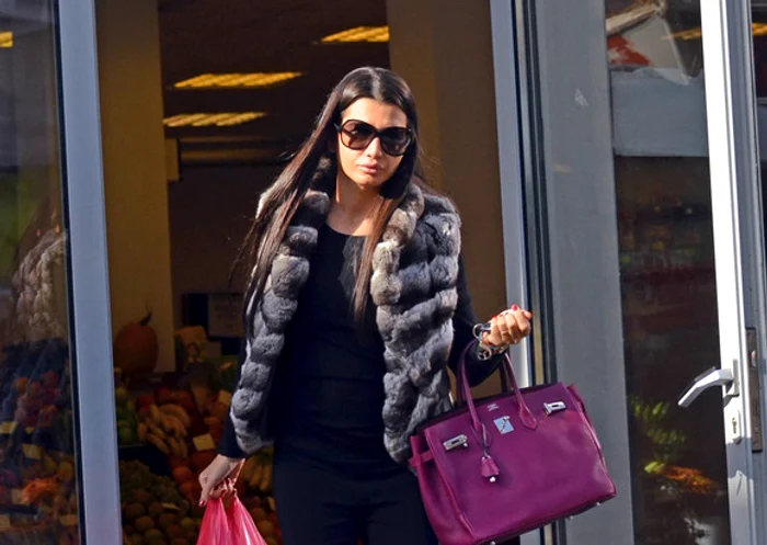 
    Petiția online a Elenei Băsescu a strâns peste 2.000 de semnături.Foto Mihai Caliu  