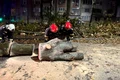 cod rosu constanta jpg