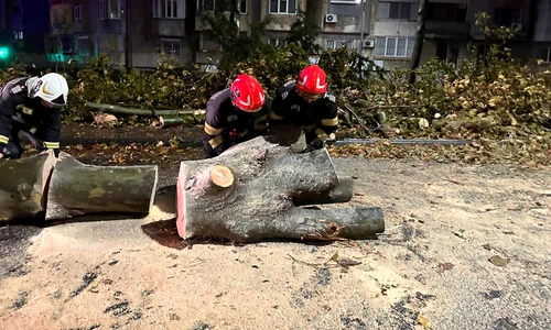 cod rosu constanta jpg