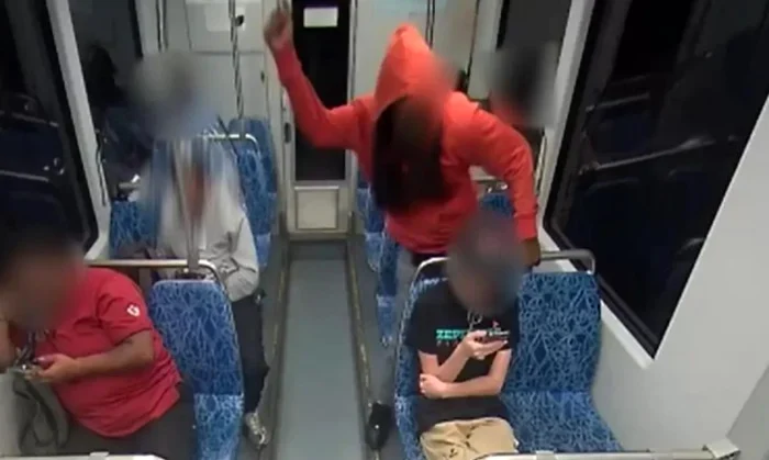 Presupusul ucigaș al refugiatei ucrainene a fost declarat inapt să fie judecat FOTO: Captură video