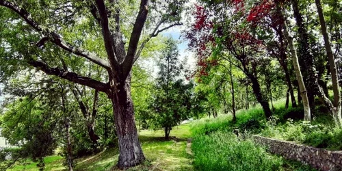 zona parcului de la politie