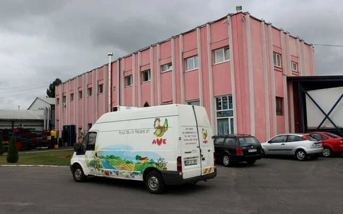Ave Impex a avut o cifră de afaceri de 36 milioane de euro în 2013 şi a
raportat vânzări de 29 milioane de euro la nivelul anului 2012 FOTO transilvaniareporter.ro
