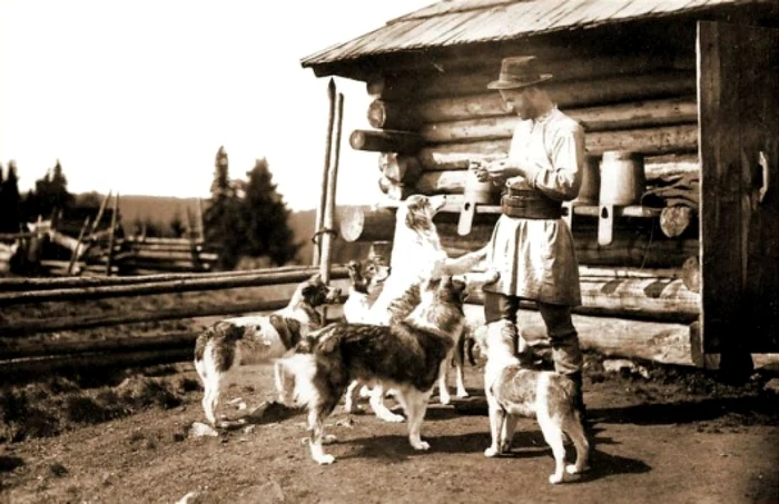 Câini ciobăneşti româneşti FOTO: Adolphe Chevallier