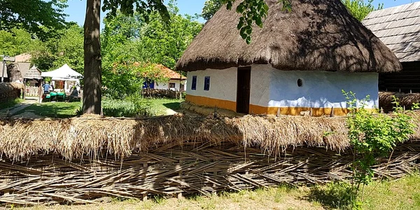 calarasi dimitrie gusti savantul care a infiintat muzeul satului foto muzeulsatului.ro