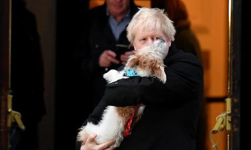 1 cainele lui boris johnson 2 jpg jpeg
