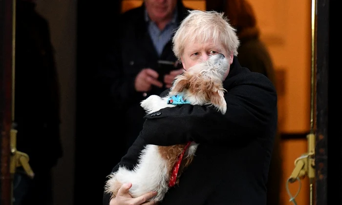 1 cainele lui boris johnson 2 jpg jpeg
