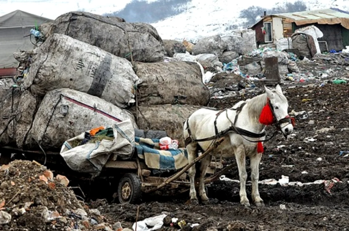 Țiganii caută toată ziua printre gunoaie, strâng amblajele din plastic și fierul și le duc cu căruțele la centrele de reciclare 