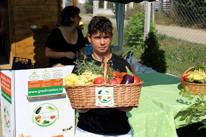 Oamenii străzii culeg zilnic zeci de kilograme de legume bio din grădina şi din serele lor - foto: Adrian Caraba