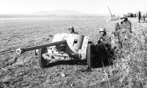 Soldați germani folosind un tun antitanc PaK 38 (© Bundesarchiv Bild 101I-549-0743-13A)
