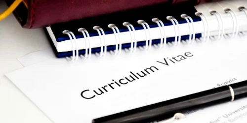 curriculum vitae