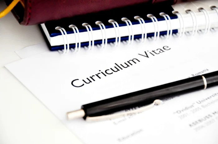 curriculum vitae