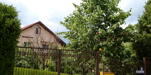 Vila preşedintelui Consiliului Judeţean Florin Popescu