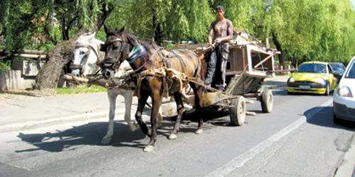 Reşiţa: Criza propune mijloace de transport ieftine