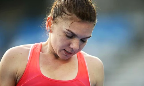 halep 895616584484 jpeg