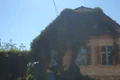 ceainaria tei saschiz love deco jpg