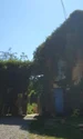 ceainaria tei saschiz love deco jpg