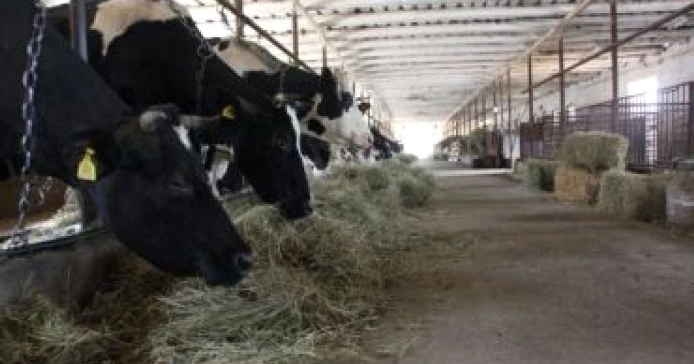 Sibiu: Modernizările fermelor, afectate de criză