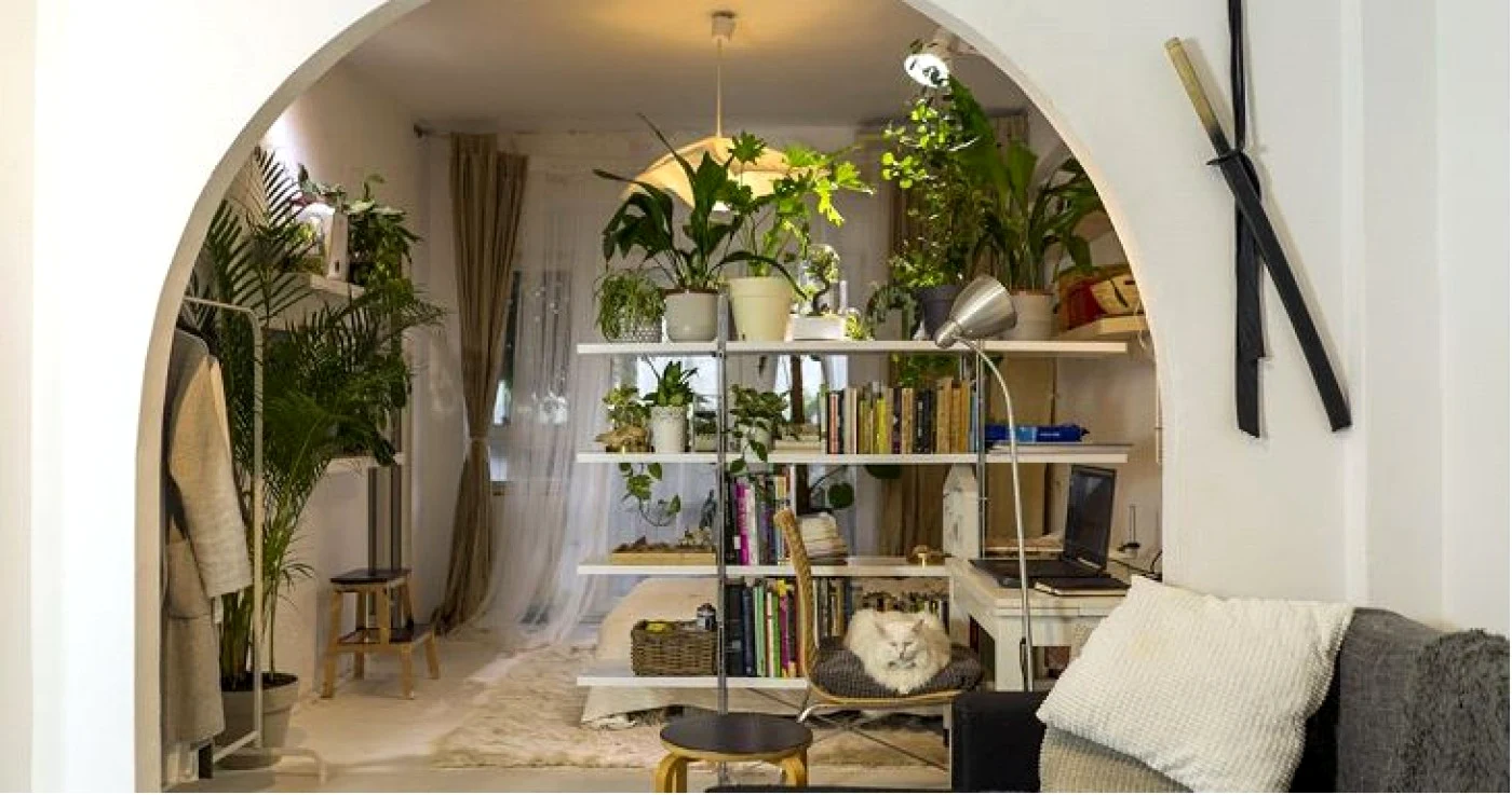 plante apartament FOTO Lovedeco