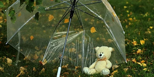 toamna umbrela animal de plus ploaie foto shutterstock