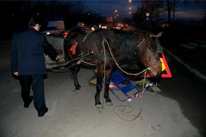 Accident provocat de o căruţă pe drum naţional. 