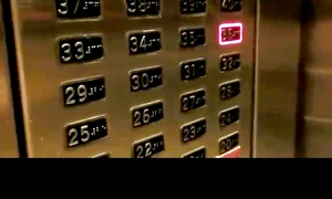Lupta cu automatizările jpeg
