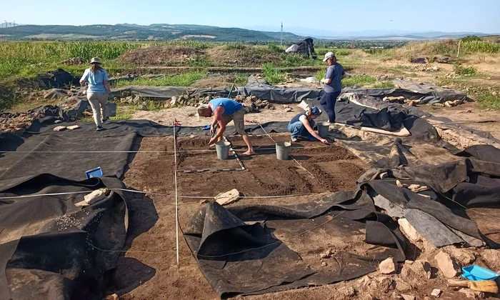 Cercetări arheologice la Rapoltu Mare (© Facebook / Muzeul Civilizației Dacice și Romane)