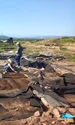 Cercetări arheologice la Rapoltu Mare (© Facebook / Muzeul Civilizației Dacice și Romane)