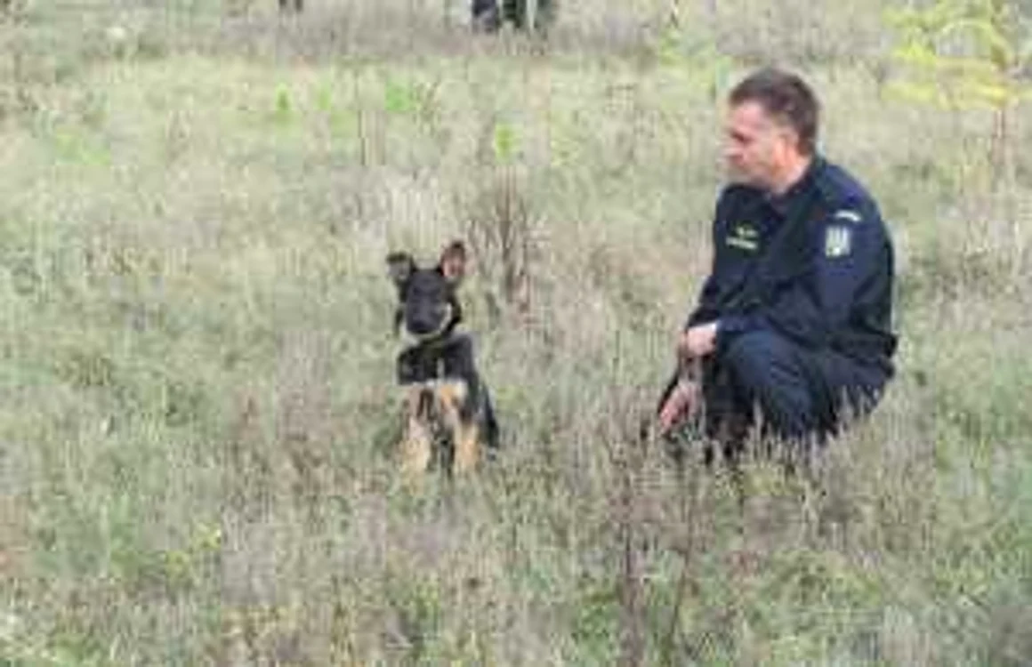Câinii de la Poliţia de Frontieră 