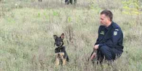 Câinii de la Poliţia de Frontieră 