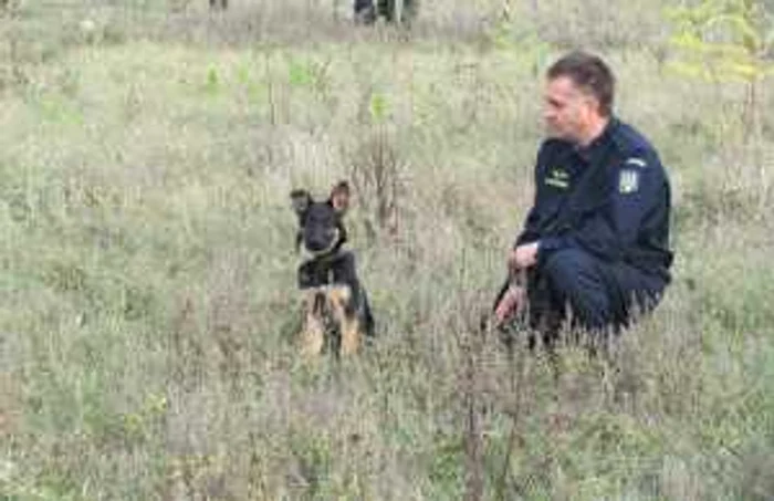 Câinii de la Poliţia de Frontieră 